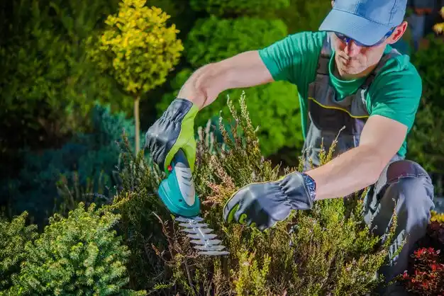 landscaping services Elmont